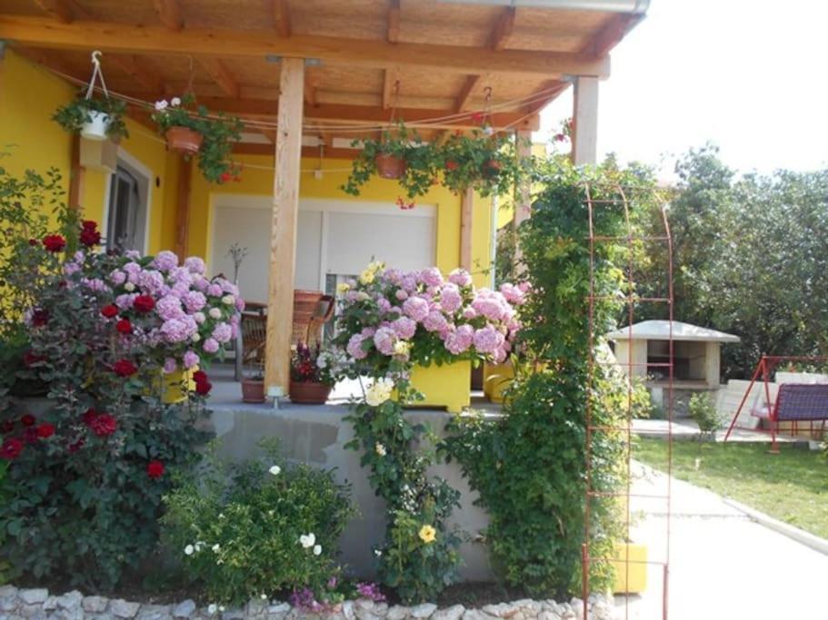 Apartment Luna 4 Person Bribir  Bagian luar foto